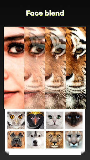 Beauty Face Plus :  face morphing screenshot 3