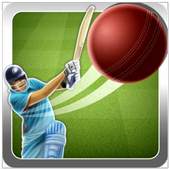 Quick Cricket 1.0
