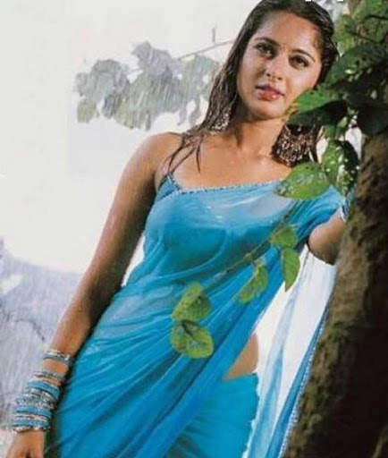 Saree Hot Collection-গরম শাড়ির ছবি কালেকশন screenshot 4