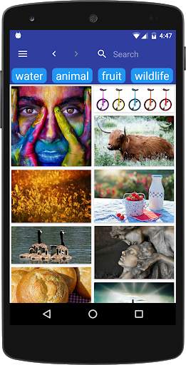 Free Pics Image Search screenshot 1