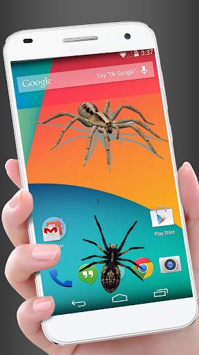Spider in phone funny joke screenshot 2