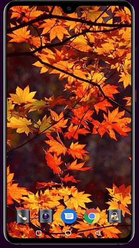 Autumn Wallpaper 4K Latest screenshot 16