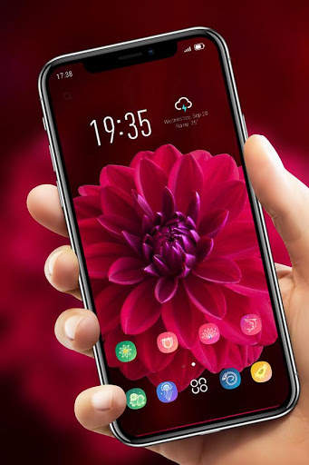 Red Flower Blossom Beautiful theme for REDMI Y2 screenshot 4