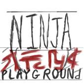 Ninja Playground