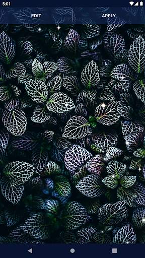 HD Live Wallpaper for OPPO screenshot 8