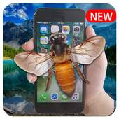 Bee Screen Funny Prank 1.0