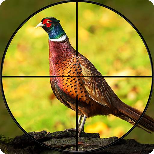 Pheasant Shooter: Crossbow Birds Hunting Games 1.1
