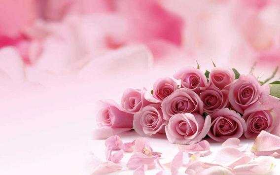 Roses Pink live wallpaper screenshot 6