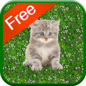 Kitten Games for Girls - Free icon