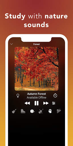 Ambiente de estudio 🍂 screenshot 3