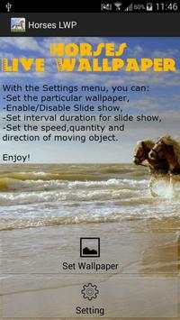 Horses Live Wallpaper screenshot 1