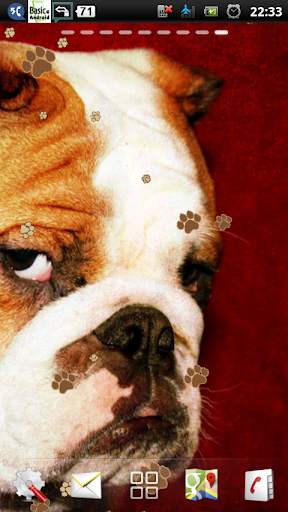 english bulldog live wallpaper - cute bulldog screenshot 3