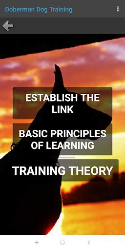 Doberman Dog Training screenshot 8