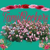 Tamilrocker
