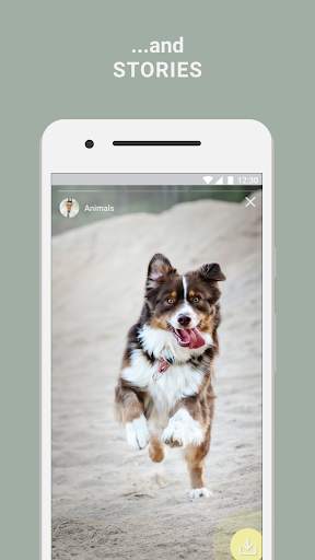 Postegro & Lili - View Hidden Instagram Profile screenshot 5