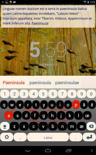 Latin Keyboard Plugin स्क्रीनशॉट 1