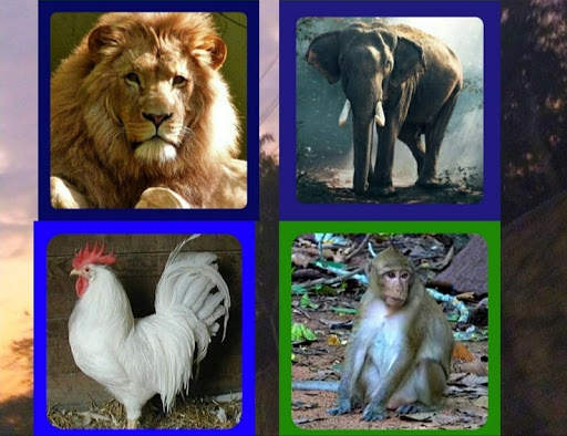 ABC with Animal Sounds and Game screenshot 7