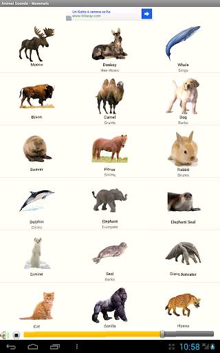 I play it ? Animal Sounds 9 تصوير الشاشة