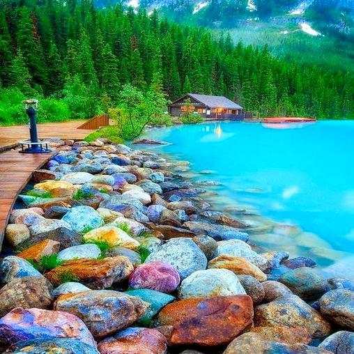 nature wallpaper 2021 screenshot 1