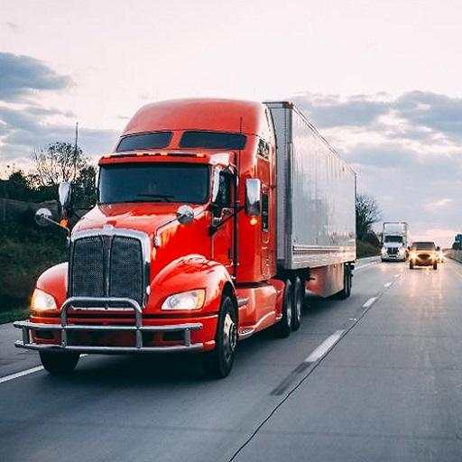 Truck Driver : Extreme Balancer 0.6