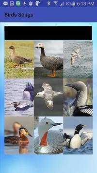 Birds Songs स्क्रीनशॉट 1