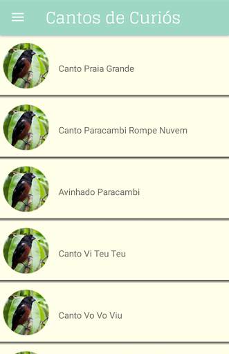 Cantos de Curió screenshot 1
