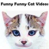 Funny Funny Cat Videos 2.0