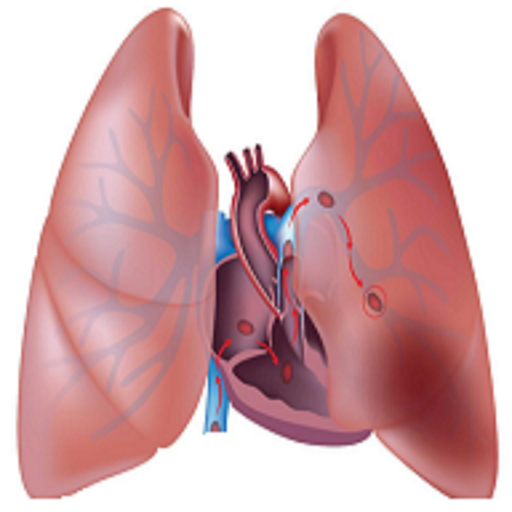 Pulmonary &amp; Diseases أيقونة
