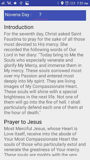 Divine Mercy In My Soul2 Diary screenshot 3