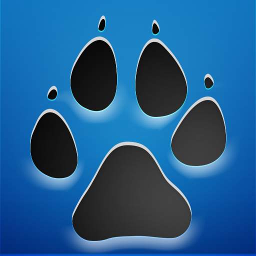 Mister X - Social profile analytics 6