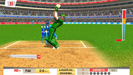 Real World Cricket Tournament  screenshot 8