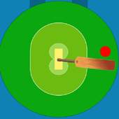 Hit Six Cricket 1.0