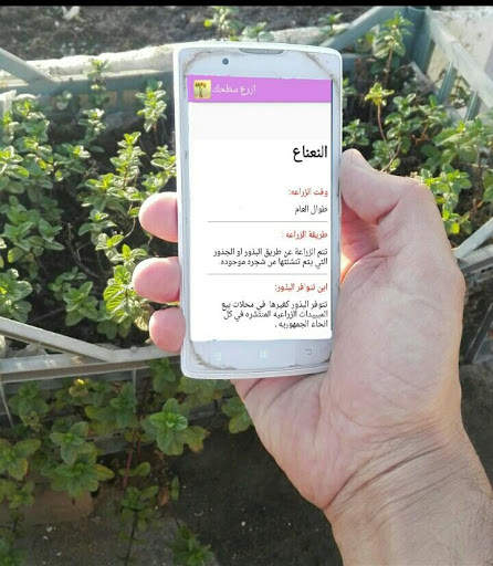 ازرع سطحك: طرق زراعة الخضروات والزينه والفواكه screenshot 6