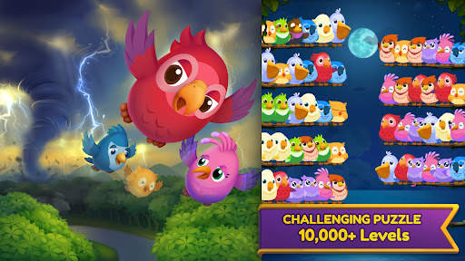 Bird Story: The Adventure screenshot 2