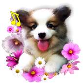 Cute Puppies live wallpaper 1.5