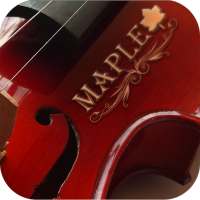 Maple Violín