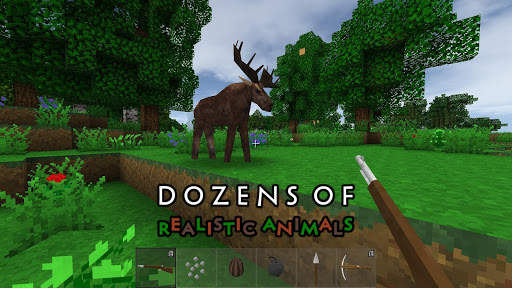 Survivalcraft 2 Day One screenshot 4