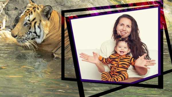 Tiger Frames For Photos screenshot 8