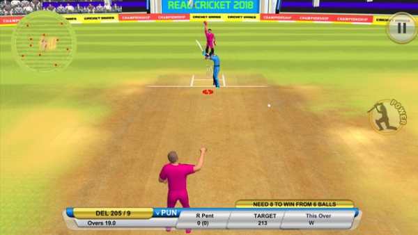 T20 Cricket Last Over screenshot 6