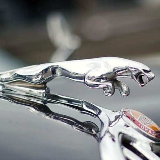 jaguar wallpapers : jaguar HD 5