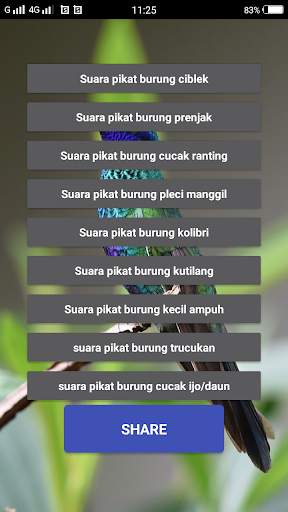 Suara pikat burung liar screenshot 2