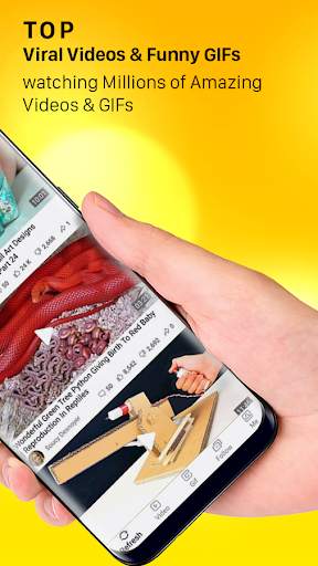 TopShare – Top Viral Videos & Funny GIFs screenshot 2