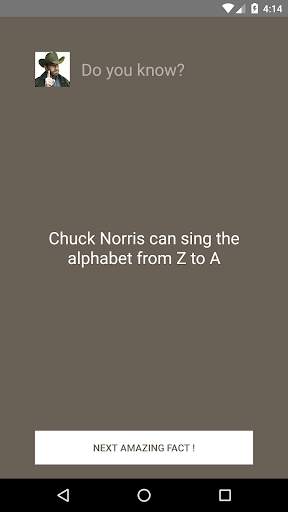 Chuck Norris: The Legend screenshot 2