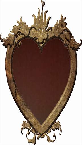 Mirror-Mirror Plus screenshot 2