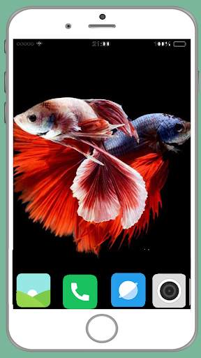 Fish Full HD Wallpaper 14 تصوير الشاشة