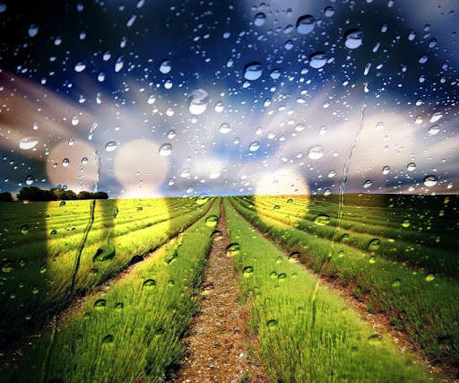 3D Rainfall Jigsaw Puzzles screenshot 2