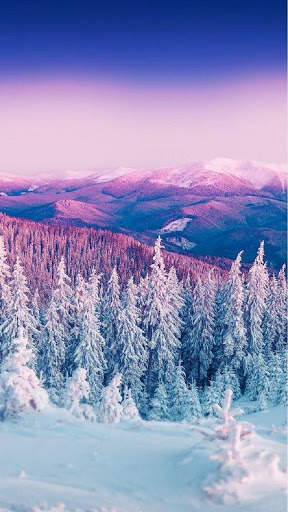 Winter Wallpapers screenshot 7