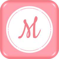 Mirror Chick - The worlds most innovative mirror logo