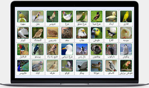 صدای پرندگان و حیوانات screenshot 1