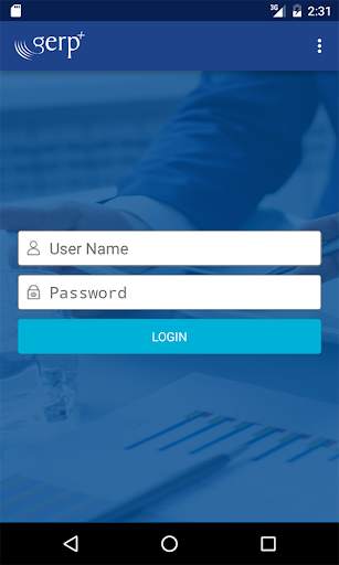 G-ERP screenshot 2